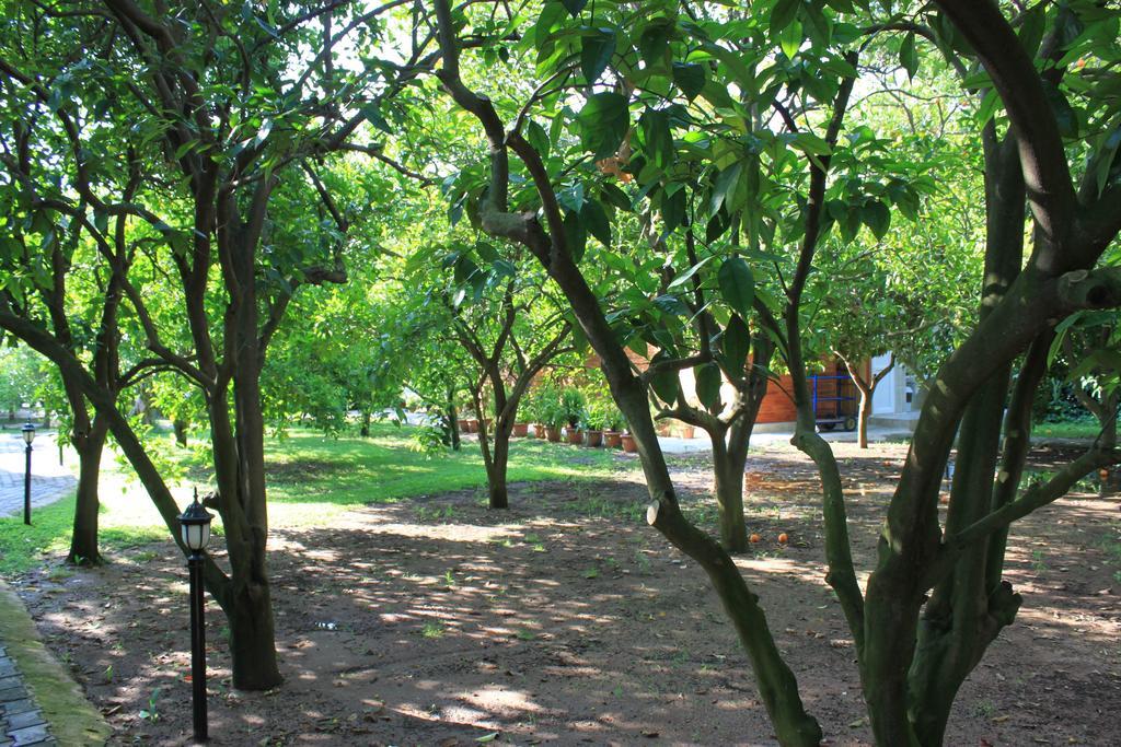 Yildiz Pension Bungalows Cirali Exterior foto