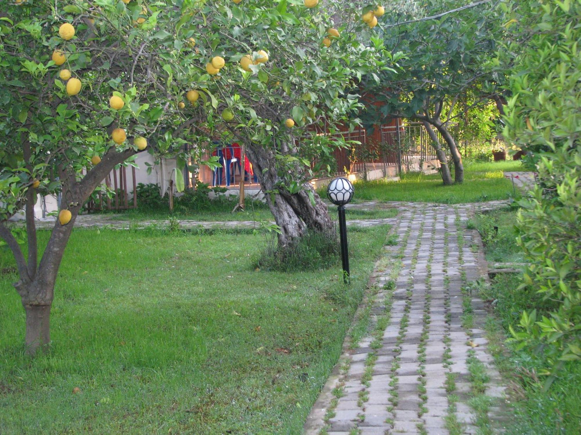 Yildiz Pension Bungalows Cirali Exterior foto
