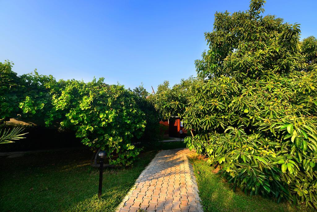 Yildiz Pension Bungalows Cirali Exterior foto