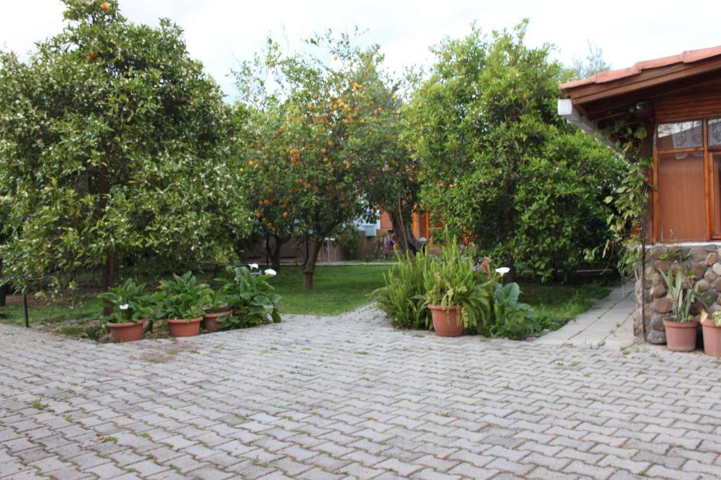 Yildiz Pension Bungalows Cirali Exterior foto