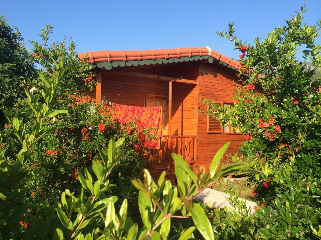 Yildiz Pension Bungalows Cirali Quarto foto